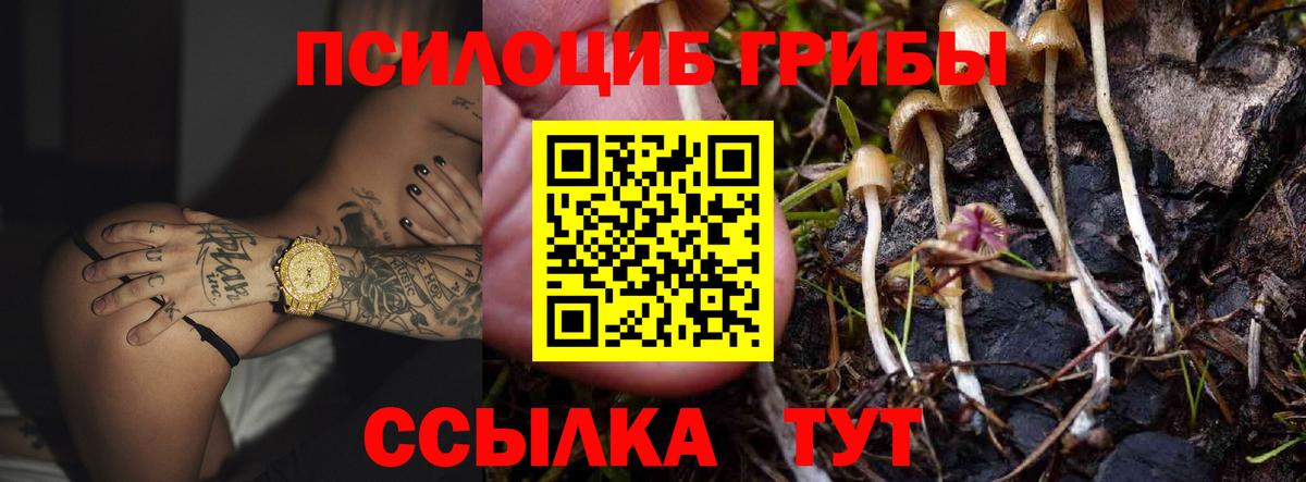Галлюциногенные грибы мухоморы Тула